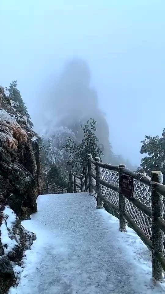 青春礼记