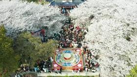 七彩虹推出甲辰智龙龙年限定板卡，现已在电商平台上架