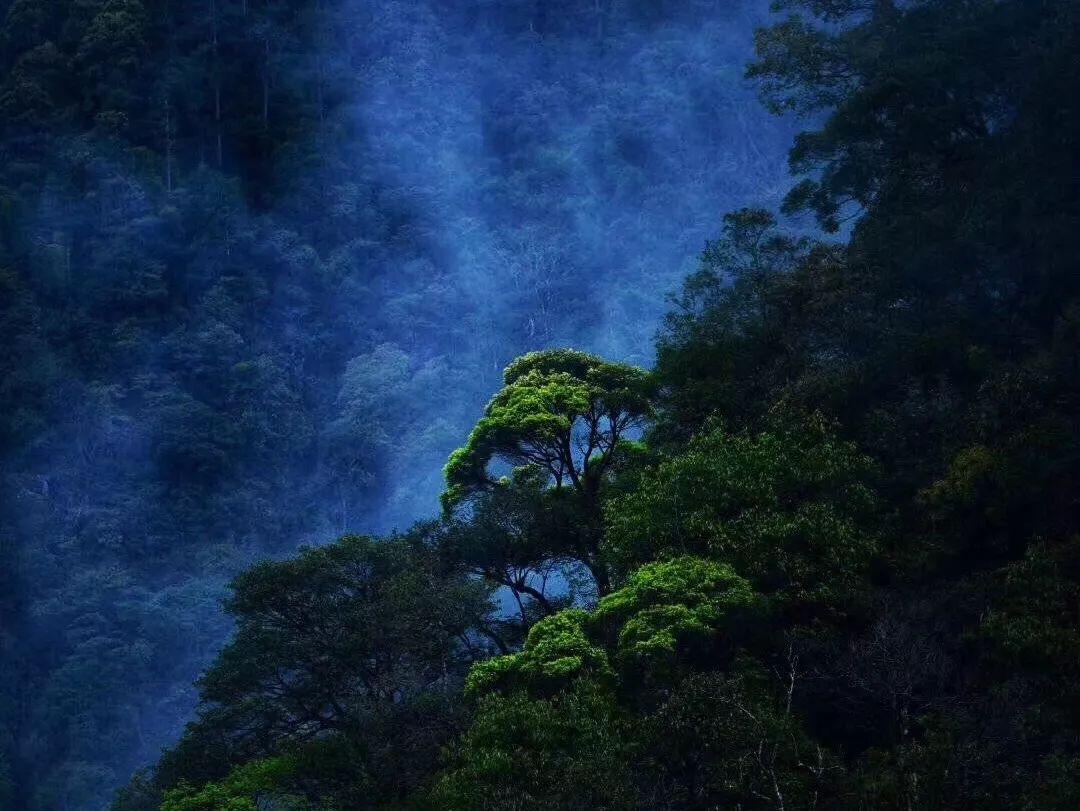 妹妹没嫁的时候家里很热闹，嫁了以后家里很冷清，有些不适应？游戏画面