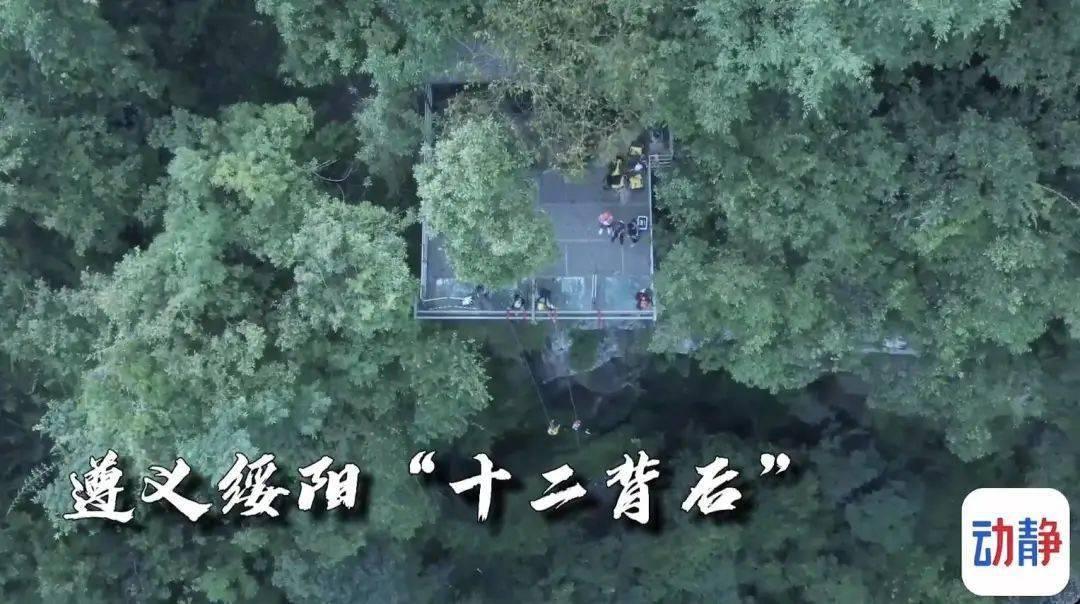 爱与理解创造“奇迹”