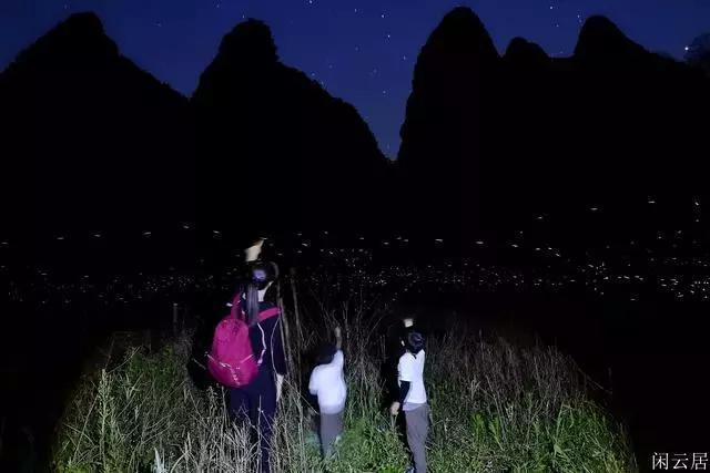金牛座的幸运日是哪天?游戏画面