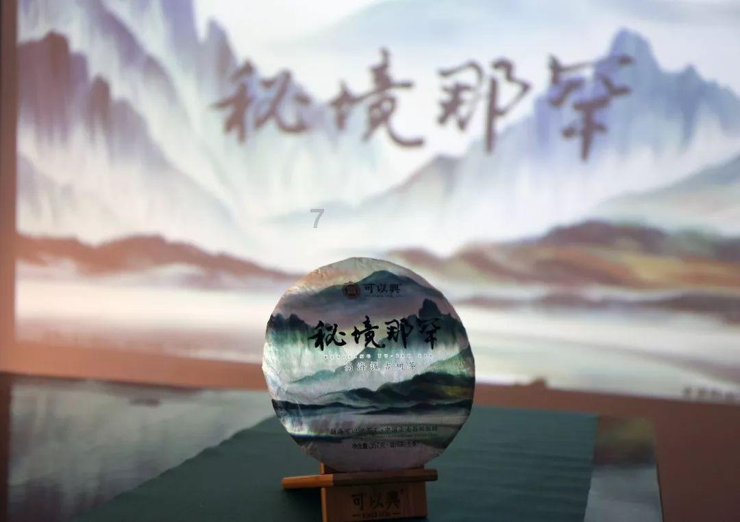 救援贪玩的大象