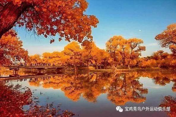 米体:佳夫预计20天后回归参加米兰合练,30天后复出