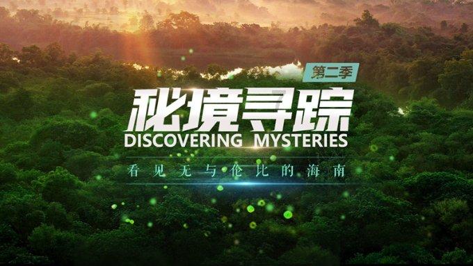 细胞分裂6