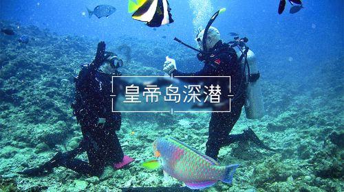 植物大战僵尸19