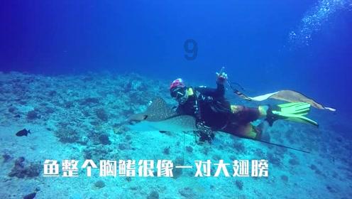 跑者回乡指南｜内有福利