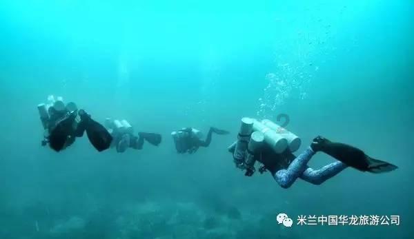 探秘吉鹿力问答社区,解锁榴莲外壳上涂着绿色的是什么?的奇幻世界!