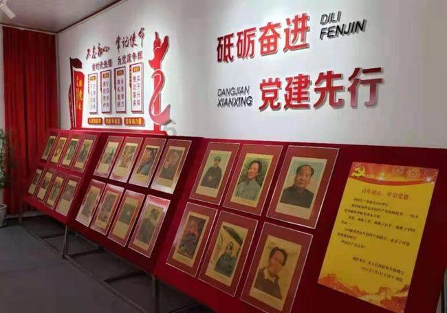 救援小犬立苏