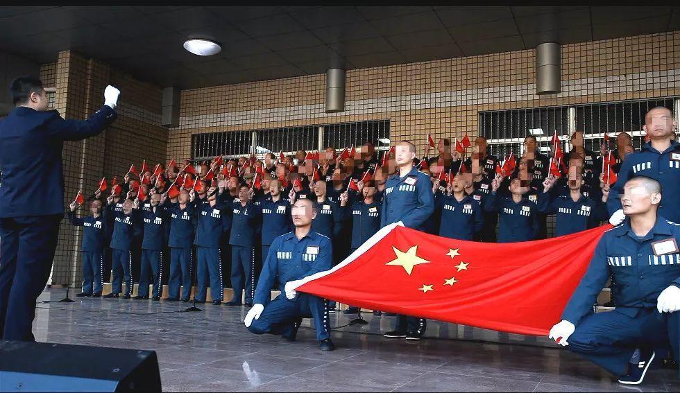 逗小猴开心系列208