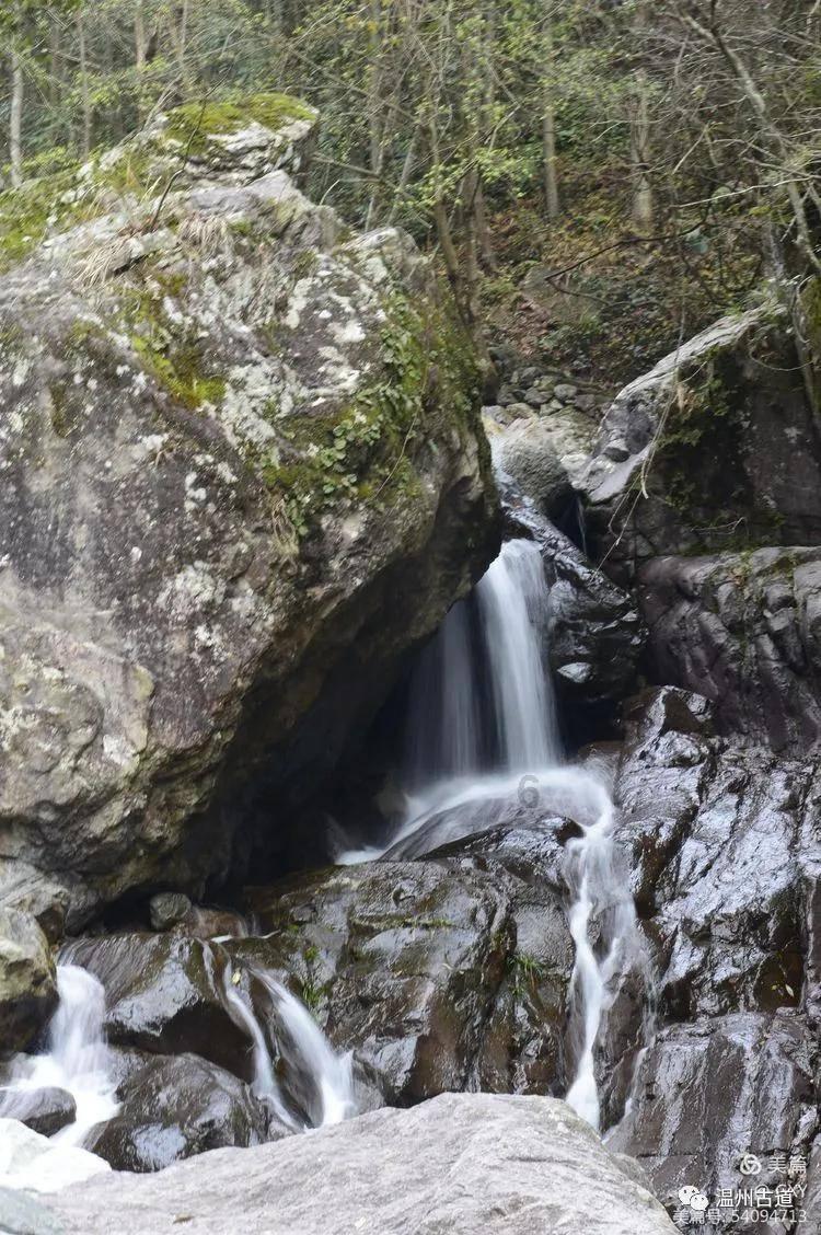 大山羔羊逃生