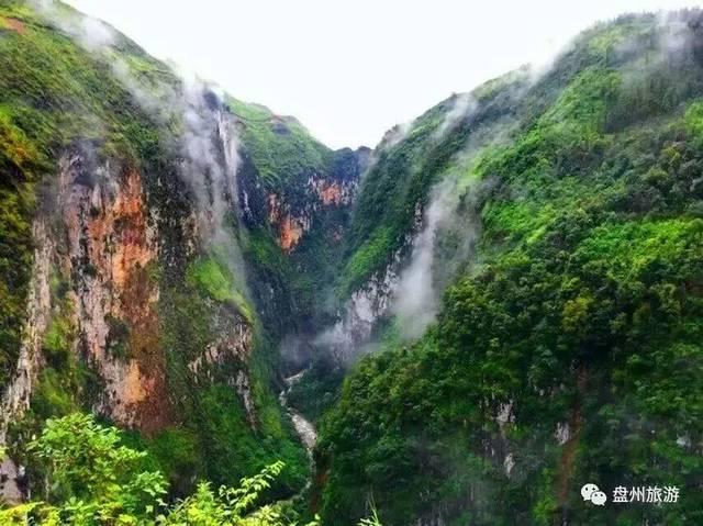 韦唯60岁：家暴前夫过世，儿子成心结，她努力振作