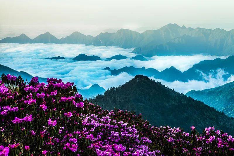 请问秋天的诗有哪些？游戏画面