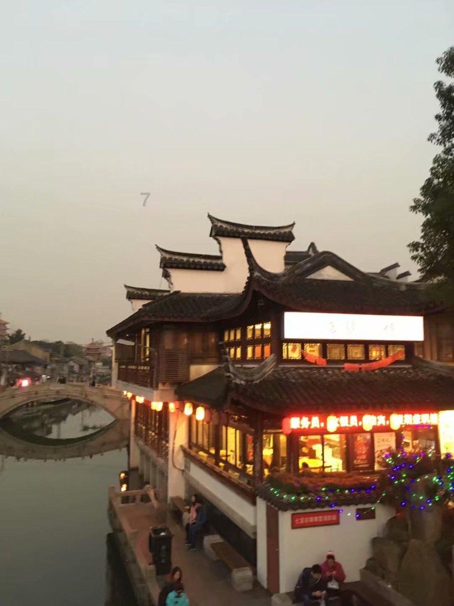 女属虎和男属狗为什么天天吵架？游戏画面