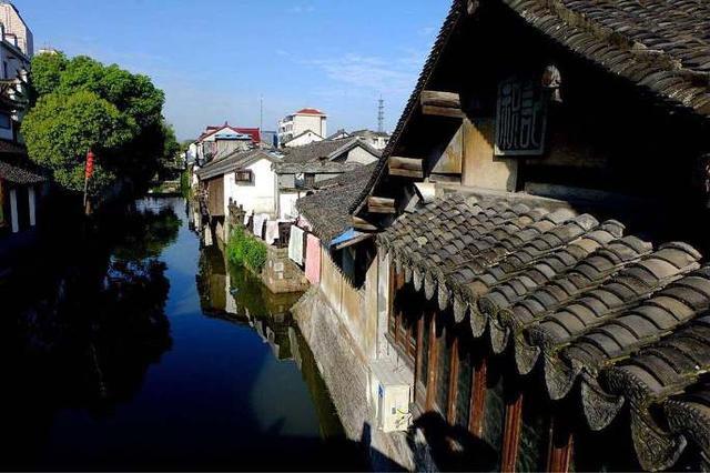 除猫浮毛小能手,速净快捷安心,希喂宠物空气净化器深度体验评测