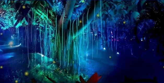 寻找沙漠珍宝